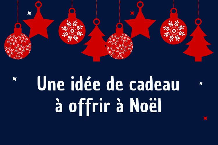 Une idée de cadeau à offrir à Noël